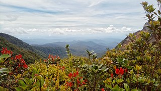 <span class="mw-page-title-main">Mount Kunyit</span> Fumarolic stratovolcano in Sumatra, Indonesia