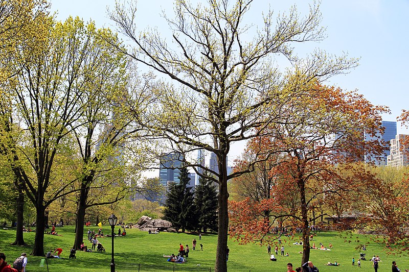 File:USA-NYC-Central Park1.JPG