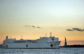 USNS Comfort Statue of Liberty.jpg