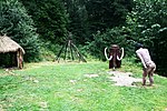 Výšinné neopevněné sídliště Landek-táboř. lovců mamutů, osada lidu s mor. mal. ker., hradisko, hrad, archeologické stopy (Ostrava) (3).jpg
