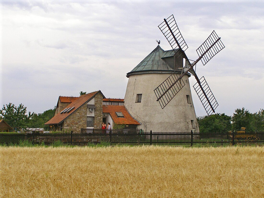 Lesná (Lâm Moravia)