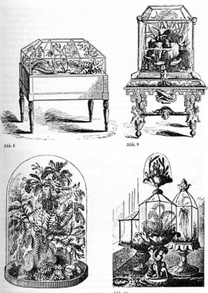 Nathaniel Bagshaw Ward first introduced Terrarium and Vivarium in 1842, built mainly from glass and wood.