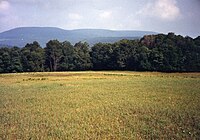 The west aspect of Blue Knob receives prevailing winds. (Photo taken from meadow at 2,400 ft.)