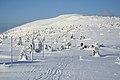 * Nomination Wielki Szyszak (Vysoké Kolo, Hohe Rand), Krkonoše mountains --Pudelek 13:35, 21 April 2018 (UTC)  Support--The Photographer 14:12, 21 April 2018 (UTC) * Promotion