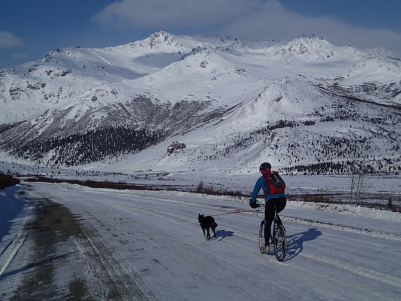 File:Winter Bike-joring (95267d17-ed58-45f4-8e90-20cc458caa39).jpg