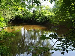 WoodCreekNY-June.JPG 