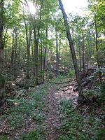 Wooster Mountain State Park