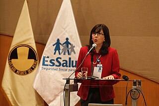 <span class="mw-page-title-main">Yolanda Falcón Lizaraso</span>