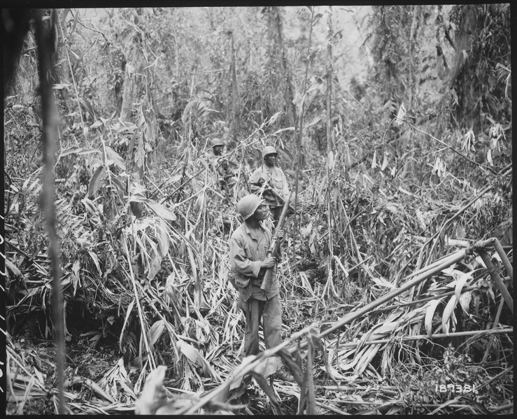 File:"Cautiously advancing through the jungle, while on patrol in Japanese territory off the Numa-Numa Trail, this member... - NARA - 531184.tif