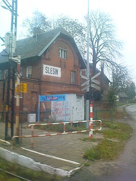 Station Ślesin