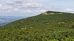 Große Sturmhaube (Riesengebirge)