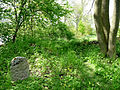 Čeština: Židovský hřbitov ve Stříteži, okres Jihlava. English: Jewish cemetery by the village of Střítež, Jihlava District, Vysočina Region, Czech Republic. This is a photo of a cultural monument of the Czech Republic, number: 37764/7-5233. Památkový katalog  · MIS  · hledat obrázky  · hledat seznamy  · Wikidata