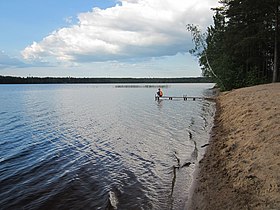 Большое Симагинское озеро, южный берег