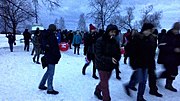 Миниатюра для Файл:Митинг 28 января 2018 года в Петрозаводске.jpg