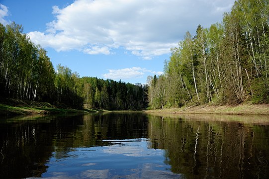 Кунья псковская область. Кунья река Сергиев Посад. Река Кунья Ловать. Река Кунья Сергиево-Посадский район. Река Кунья Псковская область.