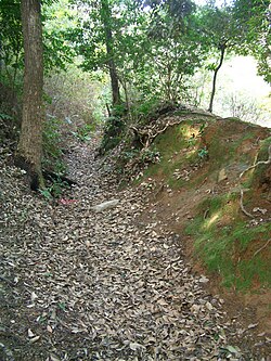 遺構: 概要, 考古学調査の遺構検出, 遺構の年代