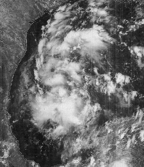 1981 Atlantic hurricane season