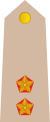 09-Somali Army-1LT.svg