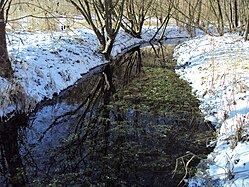 Bei der Schussenquelle bei Bad Schussenried, der Fluss Schussen. Die Schussen mündet in den Bodensee.