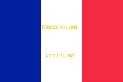 15. senegalesiske infanteriregiment - Drapeau.svg