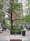 20080514 Connors Park2.JPG