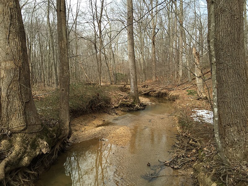 File:2016-02-08 12 50 08 View north down a tributary of Difficult Run from the Gerry Connolly Cross County Trail between Miller Heights Road and Vale Road in Oakton, Fairfax County, Virginia.jpg