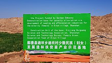 German Embassy Project Haloxylon ammodendron, Xinjiang, China 2017-07-22 German Embassy Project Haloxylon ammodendron, Shanshan County, Xinjiang, China anagoria 02.jpg