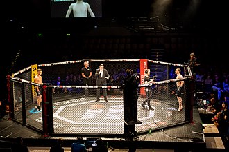 Fighters, referee, and announcer before an MMA fight 2017112190736 2017-04-22 We love MMA - Sven - 1D X II - 0001 - AK8I2259 mod.jpg