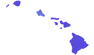 <span class="mw-page-title-main">2018 Hawaii gubernatorial election</span> Election for the governorship of the U.S. state of Hawaii