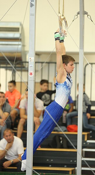 File:2019-05-25 Budapest Cup age group III all-around competition still rings (Martin Rulsch) 019.jpg