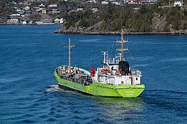 Bardsund (Bårdsund) (ship, 1960) - IMO 8517542 – back (stern) view