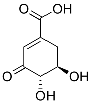 Estrutura química do ácido 3-desidrohiquímico.