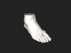 3D foot.stl