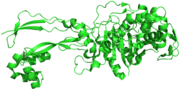 Vorschaubild für Penicillin-bindende Proteine