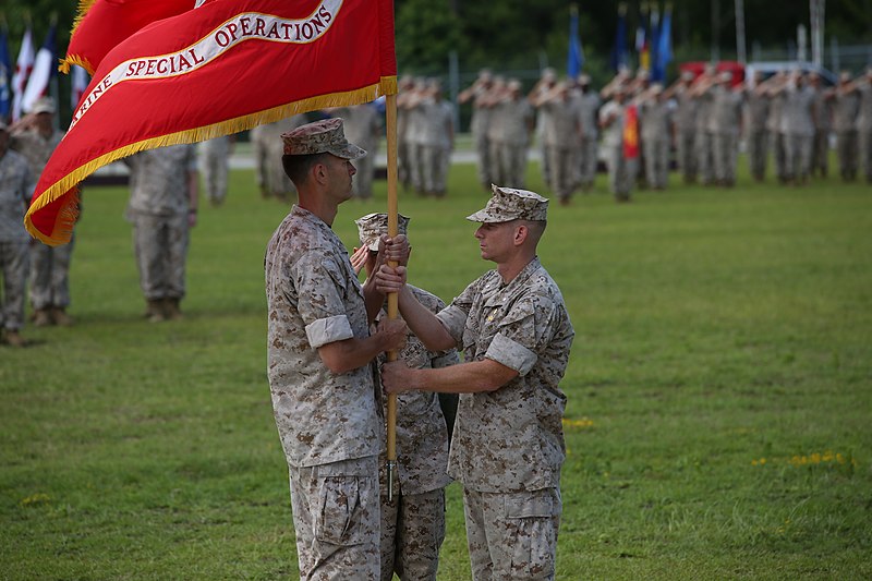 File:3d MSOB welcomes new commanding officer 140625-M-LS286-079.jpg