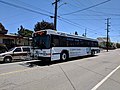 * Nomination AC Transit bus 1541, a Gillig Low Floor, servicing route 62 in Oakland. --Grendelkhan 11:50, 15 June 2024 (UTC) * Decline  Comment Perspective correction is needed. --Sebring12Hrs 07:26, 18 June 2024 (UTC) Also underexposed imo. --ArildV 09:24, 24 June 2024 (UTC)  Oppose Not done. --ArildV 21:10, 25 June 2024 (UTC)