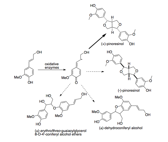 File:Activity of Dirigent protein.png