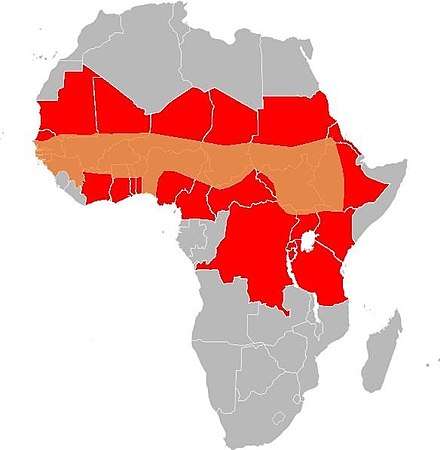 Страны медного пояса. Менингитный пояс Африки. Медный пояс Африки. Менингококковый пояс Африки.