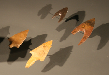 Arrowheads from Al Fayum Al Fayum arrowheads.png