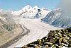 Le glacier d'Aletsch et le Mönch (4 108 mètres)