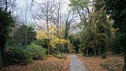 Vorschaubild für Johannisfriedhof (Jena)