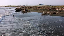 Along the coastline of the lagoon Angespueltes Holz am Strand vor Patog.JPG