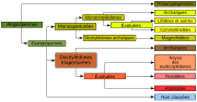 Vignette pour Classification APG III