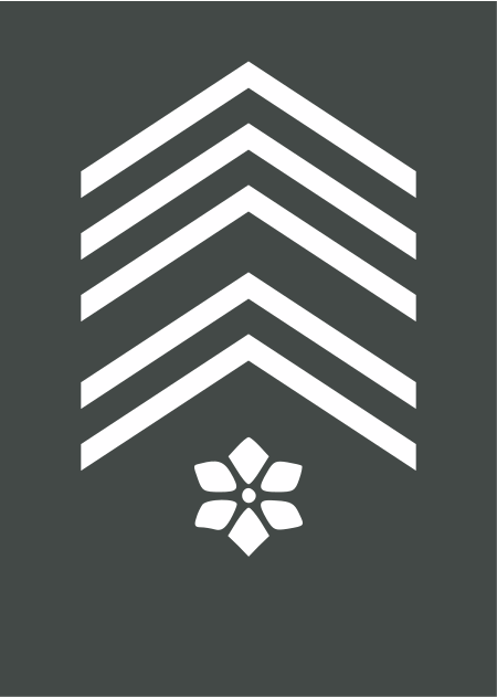 ไฟล์:Army-BEL-OR-08.svg