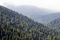 Başkonuş Mountain