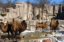 Havainnollinen kuva Milwaukee Zoo -artikkelista