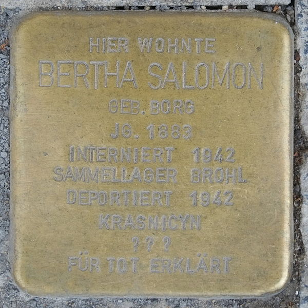 File:Bad Neuenahr Stolperstein Bertha Salomon geb. Borg 2883.JPG