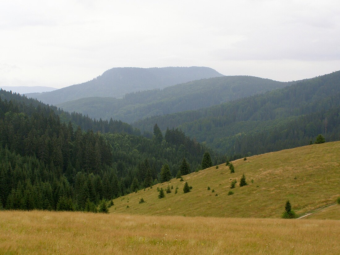 Slovakijos Rūdiniai kalnai