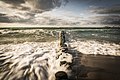 Baltic Sea Beach (227608097).jpeg