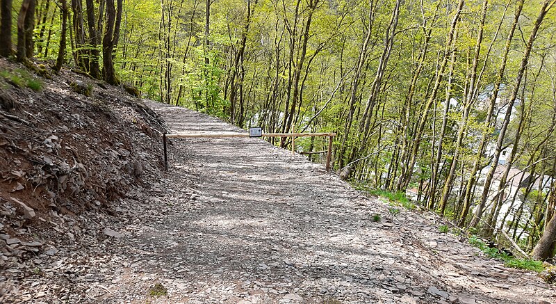 File:Barrier Branebuerg blocking hiking trail.jpg